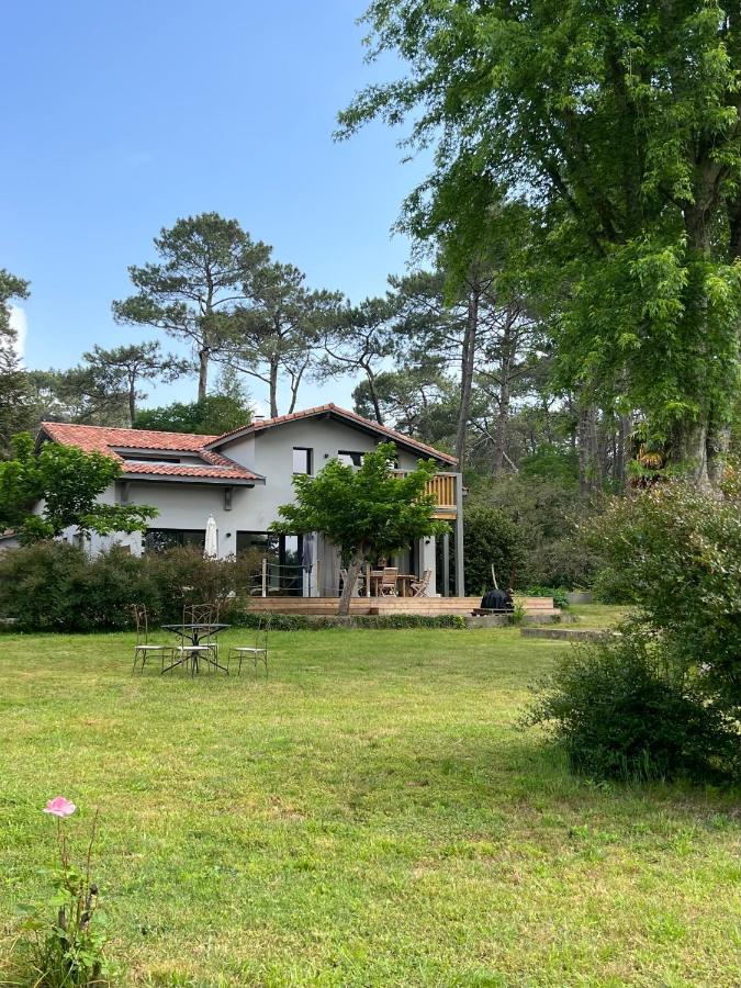 Laguillotte Bed and Breakfast Seignosse Eksteriør billede